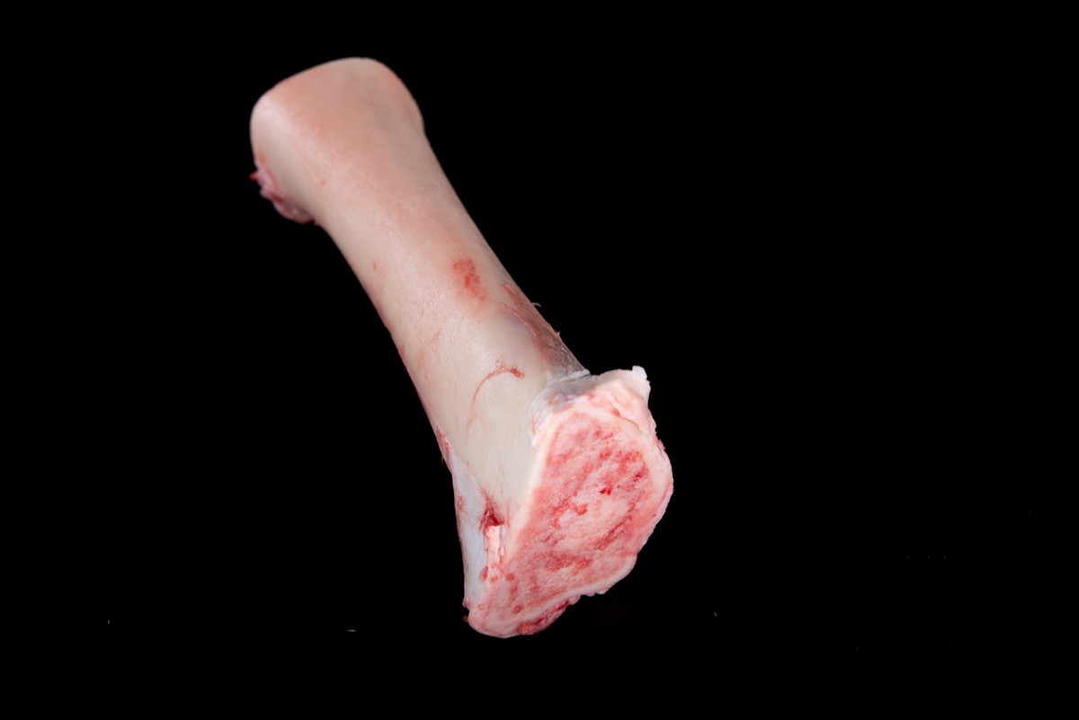 hueso tuetanero de novillo